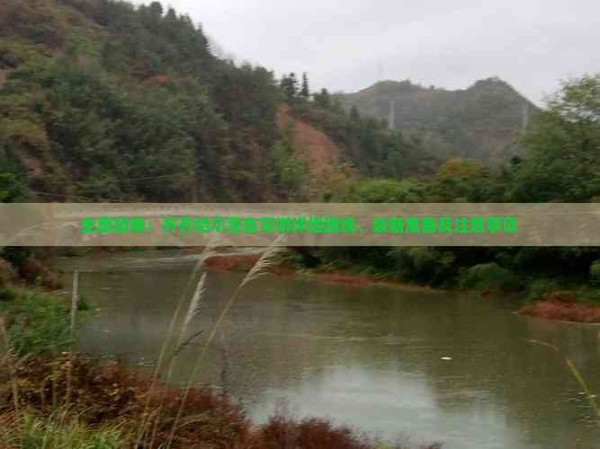 全面指南：齐齐哈尔至自驾游详细路线、装备准备及注意事项