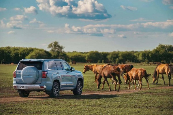 自驾出行全攻略：你需要准备的必备清单