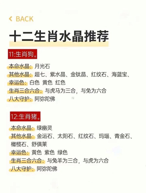 2008年属鼠人2026年运势如何