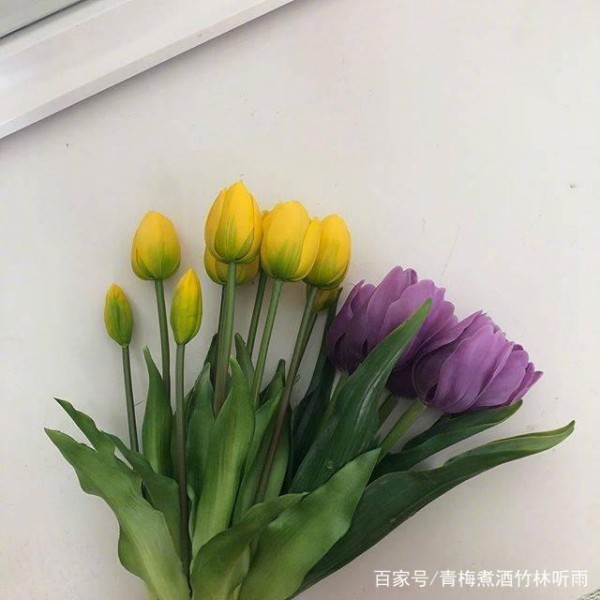 最火的38句搞笑毒鸡汤：幽默又扎心，每句让你笑着感悟！