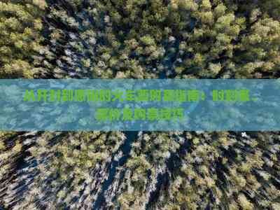 从开封到恩施的火车票购买指南：时刻表、票价及购票技巧