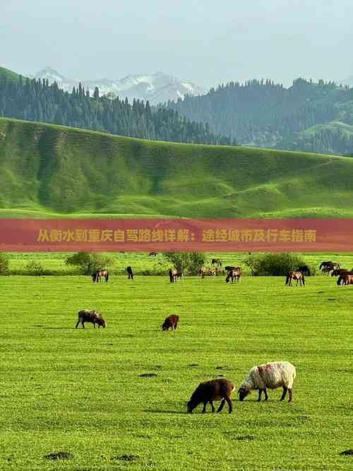 从衡水到重庆自驾路线详解：途经城市及行车指南