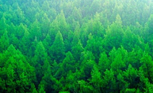 自驾游必备准备与心态调整指南