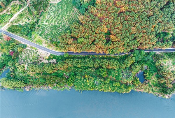 我省推出《海南环热带雨林国家公园旅游公路自驾指南（1.0版）》