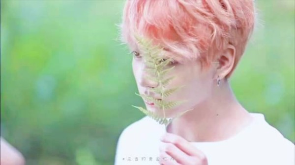 误闯人间的林间小精灵˚˖₊˚ʚ ₊˚