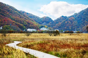 神农架游记图文-湖北恩施连线神农架，7日游应该怎么玩？详细攻略在这里