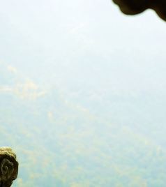 神农架游记图文-悠悠山水间~寻迹神农，漫漫登顶路~问道武当