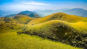 阳江游记图文-广东人自驾游阳江，搜索乡村美食之旅