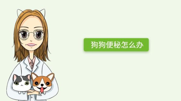 狗狗便秘吃什么