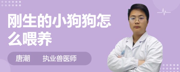 刚生的小狗狗怎么喂养