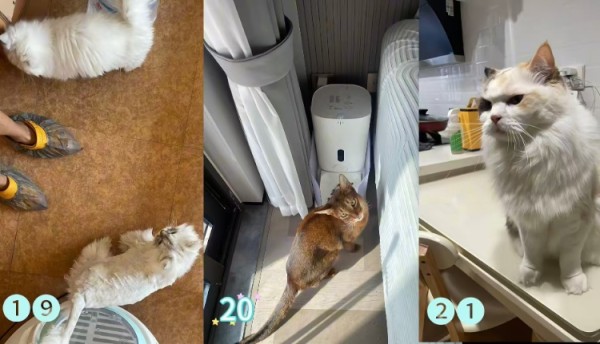 需求激增！男子假期连接270单，其中一笔收费8100元，律师提醒