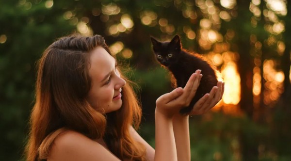 宠物寄养需求大增46%，小区物业开始接单