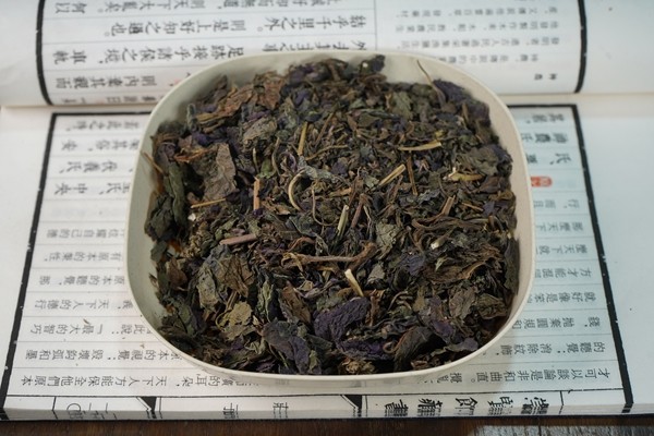 紫苏叶什么季节有