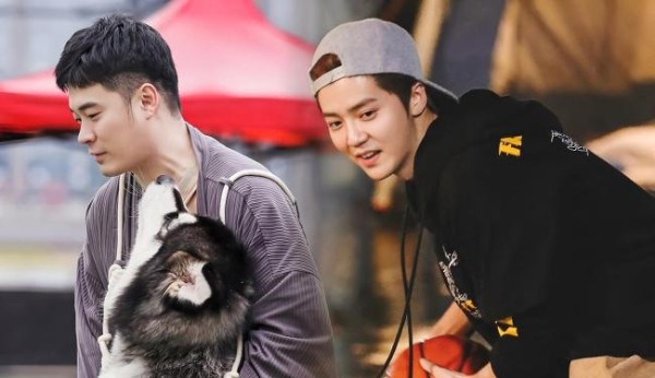 鹿晗出发录五哈