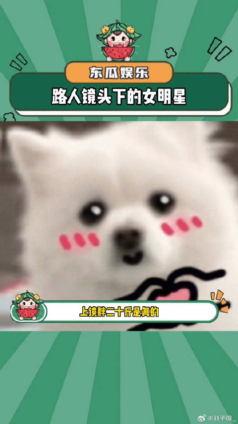 路人镜头下的女明星都好绝微博VC计划