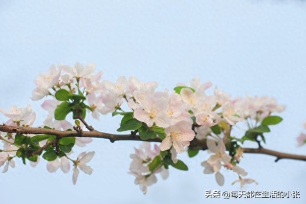 值得坚持的28个生活习惯：