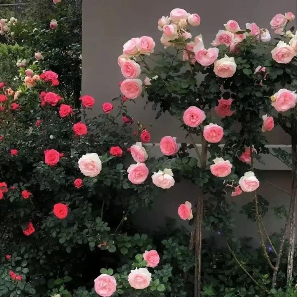 点燃斗志的人生励志文案，乘风破浪，步步迈向新征程