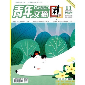 《青年文摘·彩版 2