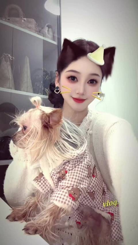 和我乖崽的下午