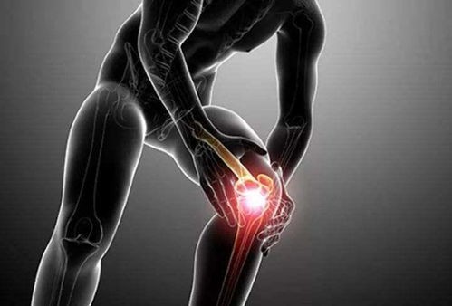 如何健身方法有哪些,怎么健身比较合理