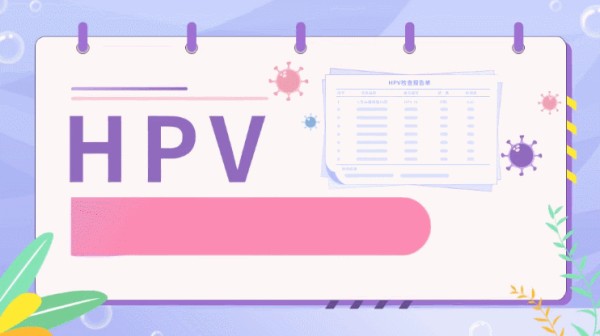 有基础能学会流程动画制作吗？哪个软件最适合新手？