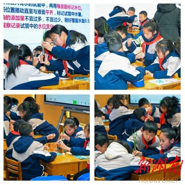 看名师工作室老师们呈现的趣味科学课