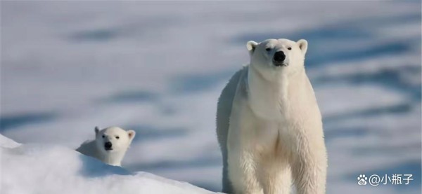 20个趣味十足的冷知识，生活中不会用到吗？建议收藏