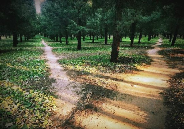 八步指南：快乐生活的秘密