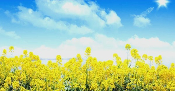 享受生活：从沉默到感恩的智慧人生