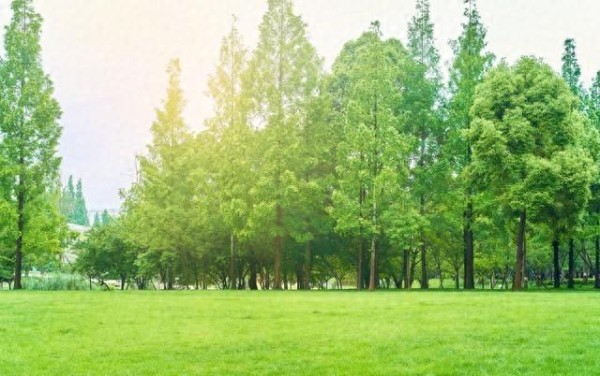 保持快乐的秘诀:实用的七大技巧