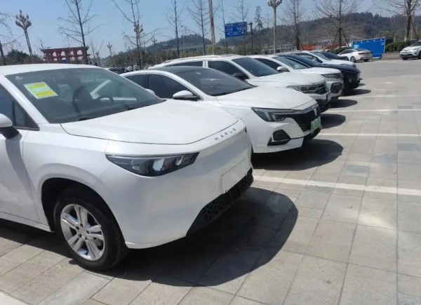 北京电动汽车租赁公司