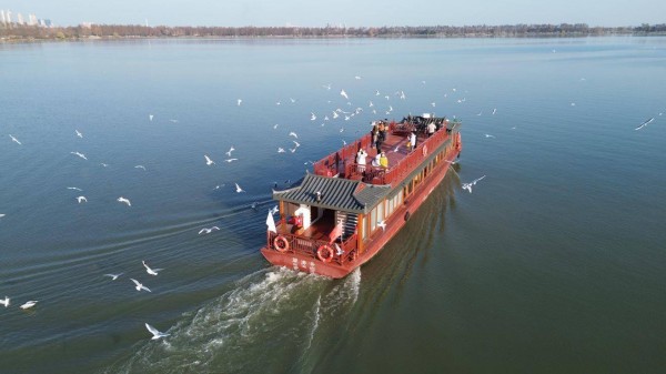 武汉东湖观鸥热度增长超100%，带动冬季文旅消费