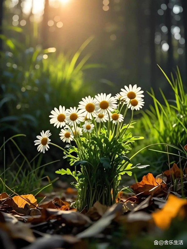 快乐瞬间，抓住精彩！