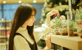 静电鱼2026年十二星座运势