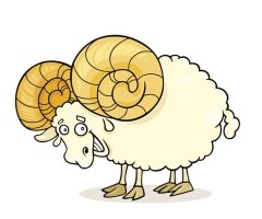 十二星座中谁最爱撒娇