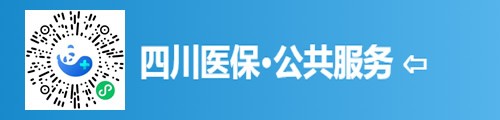 四川医保·公共服务（微信小程序）