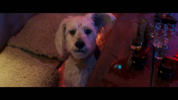 DC新片《超级少女》6.26北美上映