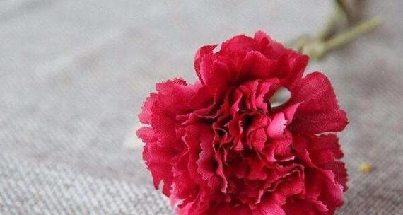 感恩节送什么花？表示感恩的花有哪些花语？