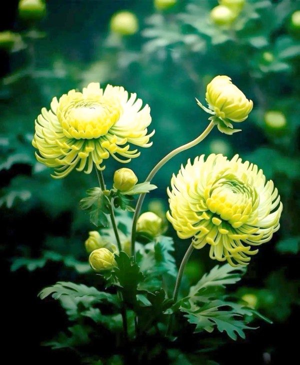 婚姻幸福的35条实用指南