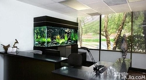 风水知识之家居风水鱼缸的摆放禁忌