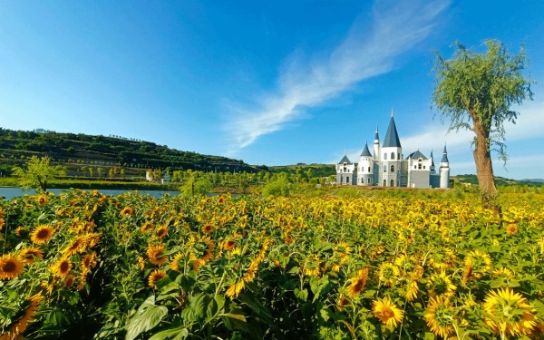 “雪兆丰年·相聚陇原”冬春季乡村旅游线路（一）