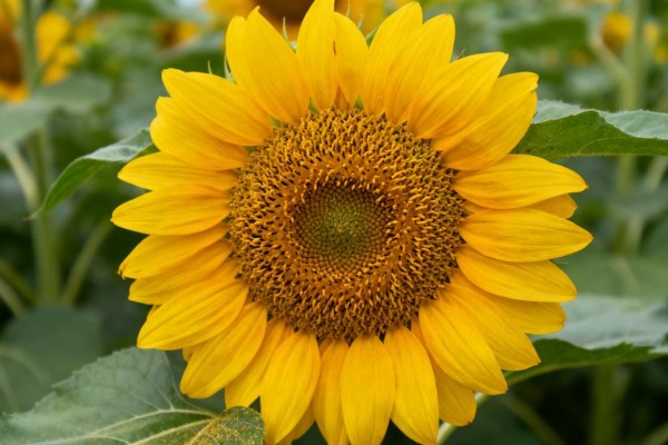 20条让你活得通透的人生智慧