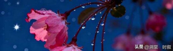 78条人生智慧（珍藏版）——2025年9月28日