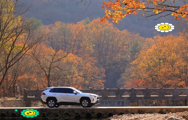 梦想与现实的碰撞:青年追梦的指南