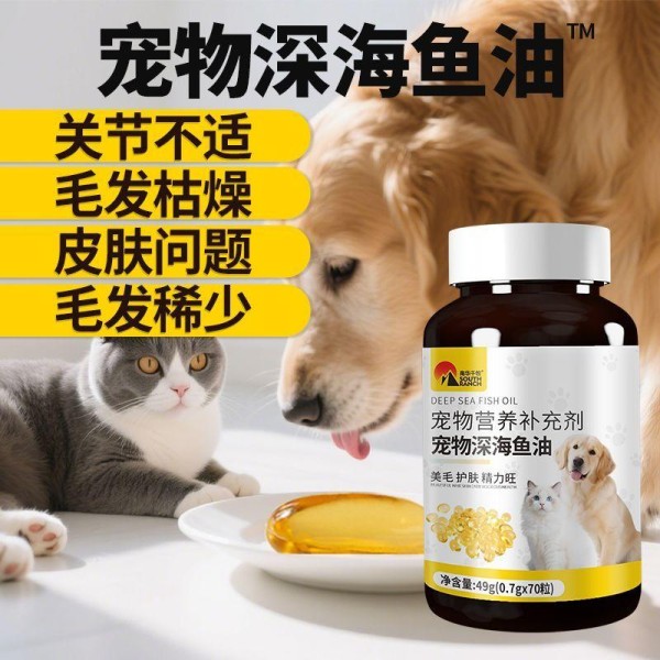 养宠人必看！宠物日常健康养护难题多，选对营养品是关键，这份毛孩从内到外的养护指南，让爱宠健康有保障！