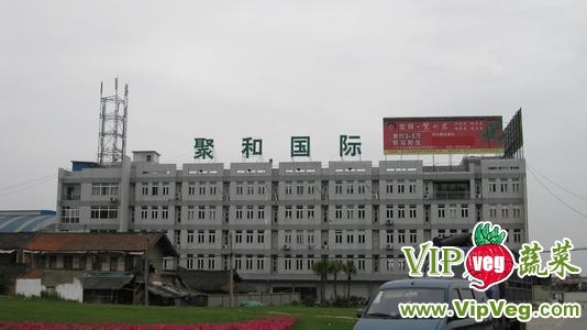 成都龙泉聚和（国际）果蔬交易中心