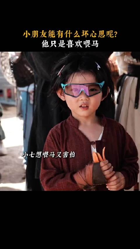 镖人刀马护小七,大漠舅侄以数数定约