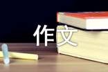 一件有趣的事600字作文（精选45篇）
