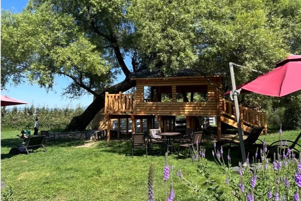 河北涞源：探寻山野趣味 体验和美乡村