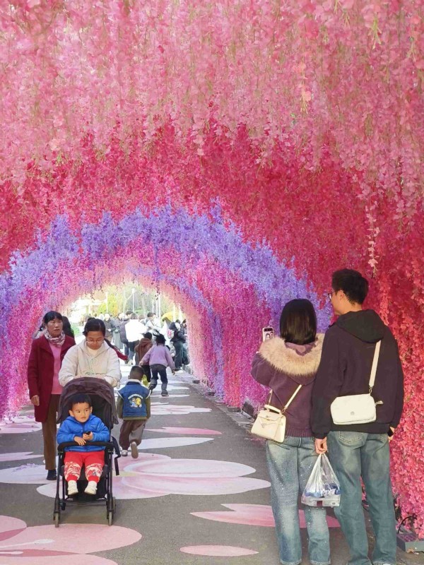 昆明世博园“花漾中国年”新春盛典启幕 首日客流破万燃爆春城年味